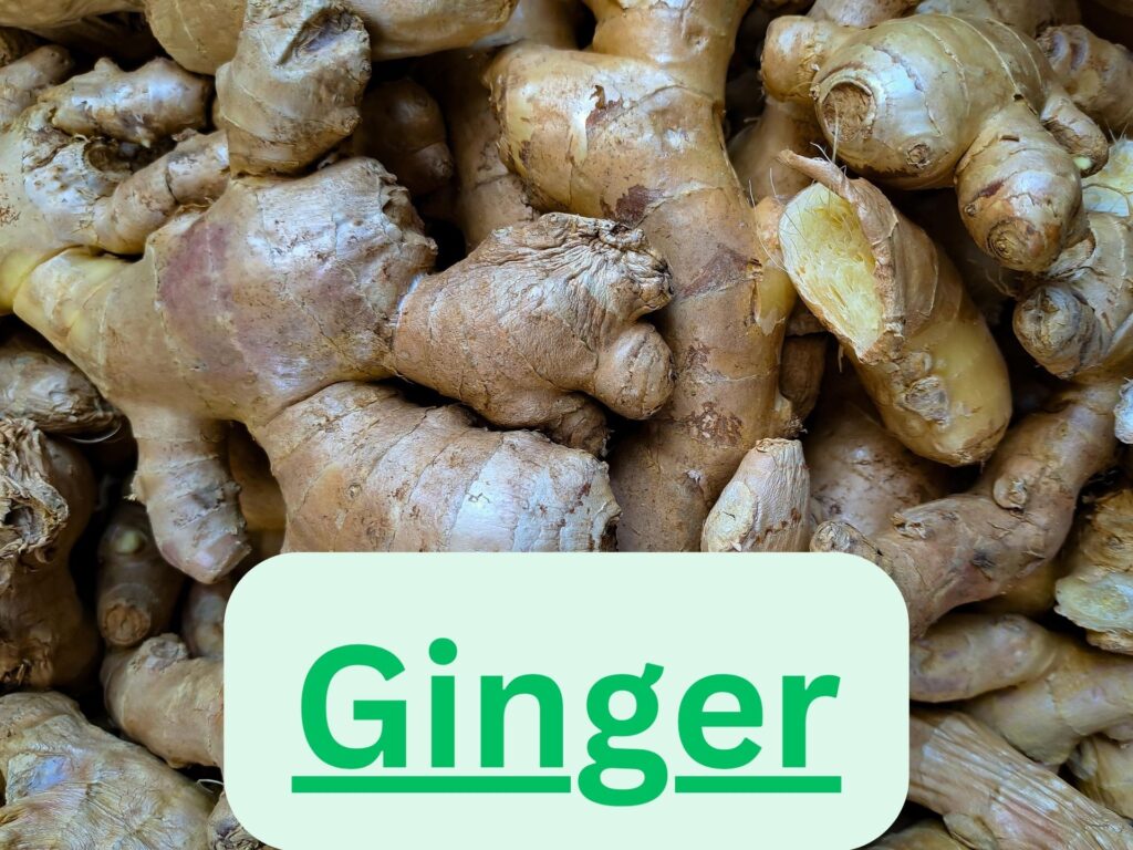 Ginger