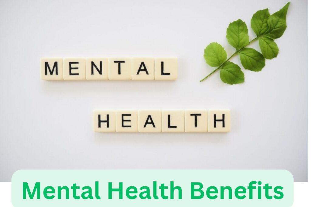 Mental Health Benefits